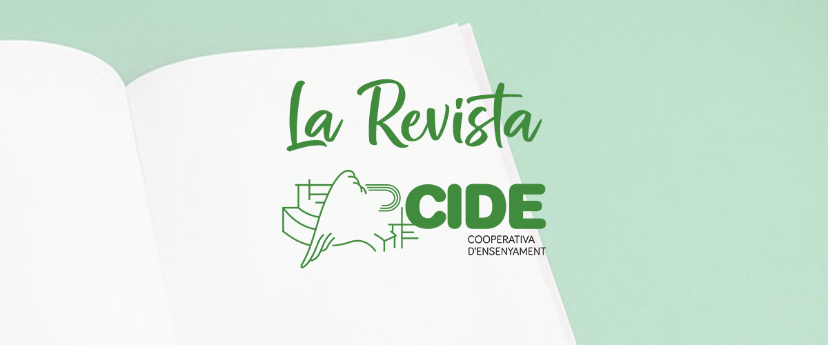 Revista cide 1200