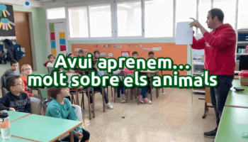 Avui aprenem sobre animals a Primària