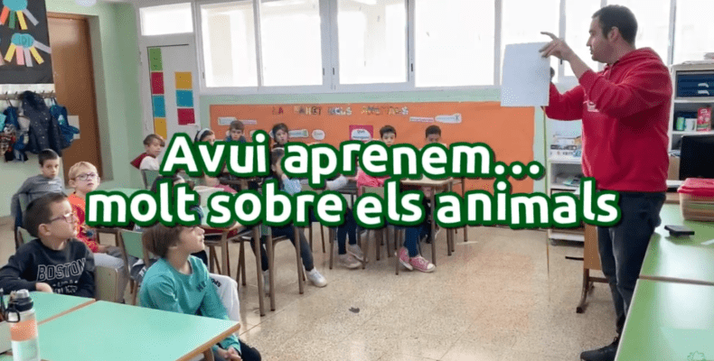 Avui aprenem sobre animals a Primària